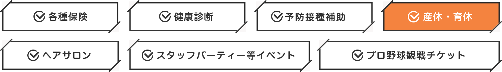 各種保険 健康診断 予防接種補助 産休・育休 ヘアサロン スタッフパーティー等イベント プロ野球観戦チケット